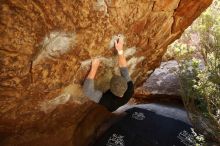 Bouldering in Hueco Tanks on 02/17/2019 with Blue Lizard Climbing and Yoga

Filename: SRM_20190217_1309220.jpg
Aperture: f/5.6
Shutter Speed: 1/200
Body: Canon EOS-1D Mark II
Lens: Canon EF 16-35mm f/2.8 L