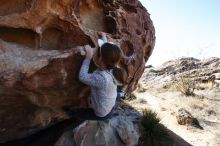 Bouldering in Hueco Tanks on 02/22/2019 with Blue Lizard Climbing and Yoga

Filename: SRM_20190222_1111120.jpg
Aperture: f/9.0
Shutter Speed: 1/250
Body: Canon EOS-1D Mark II
Lens: Canon EF 16-35mm f/2.8 L