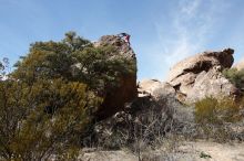 Bouldering in Hueco Tanks on 02/24/2019 with Blue Lizard Climbing and Yoga

Filename: SRM_20190224_1234300.jpg
Aperture: f/5.6
Shutter Speed: 1/640
Body: Canon EOS-1D Mark II
Lens: Canon EF 16-35mm f/2.8 L