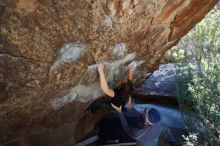 Bouldering in Hueco Tanks on 02/24/2019 with Blue Lizard Climbing and Yoga

Filename: SRM_20190224_1410430.jpg
Aperture: f/5.6
Shutter Speed: 1/200
Body: Canon EOS-1D Mark II
Lens: Canon EF 16-35mm f/2.8 L
