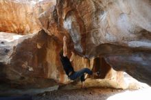 Bouldering in Hueco Tanks on 03/01/2019 with Blue Lizard Climbing and Yoga

Filename: SRM_20190301_1253010.jpg
Aperture: f/5.0
Shutter Speed: 1/160
Body: Canon EOS-1D Mark II
Lens: Canon EF 16-35mm f/2.8 L