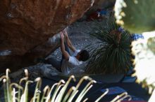 Bouldering in Hueco Tanks on 03/01/2019 with Blue Lizard Climbing and Yoga

Filename: SRM_20190301_1342060.jpg
Aperture: f/3.5
Shutter Speed: 1/250
Body: Canon EOS-1D Mark II
Lens: Canon EF 50mm f/1.8 II