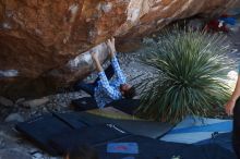 Bouldering in Hueco Tanks on 03/01/2019 with Blue Lizard Climbing and Yoga

Filename: SRM_20190301_1344000.jpg
Aperture: f/3.5
Shutter Speed: 1/160
Body: Canon EOS-1D Mark II
Lens: Canon EF 50mm f/1.8 II
