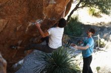 Bouldering in Hueco Tanks on 03/01/2019 with Blue Lizard Climbing and Yoga

Filename: SRM_20190301_1349590.jpg
Aperture: f/3.5
Shutter Speed: 1/200
Body: Canon EOS-1D Mark II
Lens: Canon EF 50mm f/1.8 II