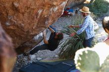 Bouldering in Hueco Tanks on 03/01/2019 with Blue Lizard Climbing and Yoga

Filename: SRM_20190301_1353370.jpg
Aperture: f/3.5
Shutter Speed: 1/100
Body: Canon EOS-1D Mark II
Lens: Canon EF 50mm f/1.8 II