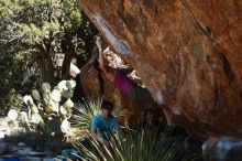 Bouldering in Hueco Tanks on 03/01/2019 with Blue Lizard Climbing and Yoga

Filename: SRM_20190301_1408540.jpg
Aperture: f/3.5
Shutter Speed: 1/500
Body: Canon EOS-1D Mark II
Lens: Canon EF 50mm f/1.8 II