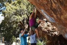 Bouldering in Hueco Tanks on 03/01/2019 with Blue Lizard Climbing and Yoga

Filename: SRM_20190301_1409150.jpg
Aperture: f/4.0
Shutter Speed: 1/400
Body: Canon EOS-1D Mark II
Lens: Canon EF 50mm f/1.8 II
