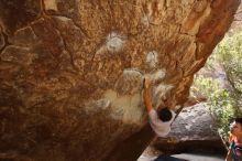 Bouldering in Hueco Tanks on 03/09/2019 with Blue Lizard Climbing and Yoga

Filename: SRM_20190309_1335170.jpg
Aperture: f/5.6
Shutter Speed: 1/200
Body: Canon EOS-1D Mark II
Lens: Canon EF 16-35mm f/2.8 L