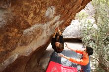 Bouldering in Hueco Tanks on 03/09/2019 with Blue Lizard Climbing and Yoga

Filename: SRM_20190309_1412320.jpg
Aperture: f/5.6
Shutter Speed: 1/250
Body: Canon EOS-1D Mark II
Lens: Canon EF 16-35mm f/2.8 L