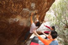 Bouldering in Hueco Tanks on 03/09/2019 with Blue Lizard Climbing and Yoga

Filename: SRM_20190309_1421240.jpg
Aperture: f/4.5
Shutter Speed: 1/320
Body: Canon EOS-1D Mark II
Lens: Canon EF 16-35mm f/2.8 L