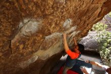 Bouldering in Hueco Tanks on 03/09/2019 with Blue Lizard Climbing and Yoga

Filename: SRM_20190309_1332160.jpg
Aperture: f/5.6
Shutter Speed: 1/200
Body: Canon EOS-1D Mark II
Lens: Canon EF 16-35mm f/2.8 L