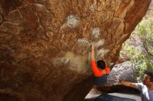 Bouldering in Hueco Tanks on 03/09/2019 with Blue Lizard Climbing and Yoga

Filename: SRM_20190309_1337220.jpg
Aperture: f/5.6
Shutter Speed: 1/200
Body: Canon EOS-1D Mark II
Lens: Canon EF 16-35mm f/2.8 L