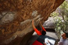Bouldering in Hueco Tanks on 03/09/2019 with Blue Lizard Climbing and Yoga

Filename: SRM_20190309_1344340.jpg
Aperture: f/5.6
Shutter Speed: 1/250
Body: Canon EOS-1D Mark II
Lens: Canon EF 16-35mm f/2.8 L
