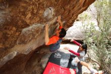 Bouldering in Hueco Tanks on 03/09/2019 with Blue Lizard Climbing and Yoga

Filename: SRM_20190309_1420060.jpg
Aperture: f/4.5
Shutter Speed: 1/320
Body: Canon EOS-1D Mark II
Lens: Canon EF 16-35mm f/2.8 L