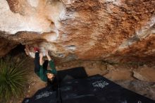 Bouldering in Hueco Tanks on 03/10/2019 with Blue Lizard Climbing and Yoga

Filename: SRM_20190310_1041171.jpg
Aperture: f/5.6
Shutter Speed: 1/250
Body: Canon EOS-1D Mark II
Lens: Canon EF 16-35mm f/2.8 L