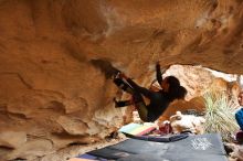 Bouldering in Hueco Tanks on 03/10/2019 with Blue Lizard Climbing and Yoga

Filename: SRM_20190310_1217280.jpg
Aperture: f/4.0
Shutter Speed: 1/100
Body: Canon EOS-1D Mark II
Lens: Canon EF 16-35mm f/2.8 L