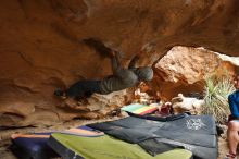 Bouldering in Hueco Tanks on 03/10/2019 with Blue Lizard Climbing and Yoga

Filename: SRM_20190310_1219200.jpg
Aperture: f/4.0
Shutter Speed: 1/160
Body: Canon EOS-1D Mark II
Lens: Canon EF 16-35mm f/2.8 L