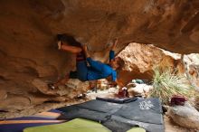 Bouldering in Hueco Tanks on 03/10/2019 with Blue Lizard Climbing and Yoga

Filename: SRM_20190310_1224280.jpg
Aperture: f/4.0
Shutter Speed: 1/250
Body: Canon EOS-1D Mark II
Lens: Canon EF 16-35mm f/2.8 L
