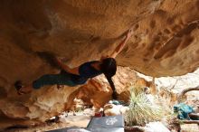 Bouldering in Hueco Tanks on 03/10/2019 with Blue Lizard Climbing and Yoga

Filename: SRM_20190310_1251150.jpg
Aperture: f/4.0
Shutter Speed: 1/320
Body: Canon EOS-1D Mark II
Lens: Canon EF 16-35mm f/2.8 L