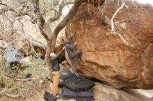 Bouldering in Hueco Tanks on 03/16/2019 with Blue Lizard Climbing and Yoga

Filename: SRM_20190316_1128340.jpg
Aperture: f/4.0
Shutter Speed: 1/100
Body: Canon EOS-1D Mark II
Lens: Canon EF 16-35mm f/2.8 L