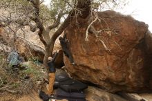 Bouldering in Hueco Tanks on 03/16/2019 with Blue Lizard Climbing and Yoga

Filename: SRM_20190316_1128430.jpg
Aperture: f/5.6
Shutter Speed: 1/100
Body: Canon EOS-1D Mark II
Lens: Canon EF 16-35mm f/2.8 L