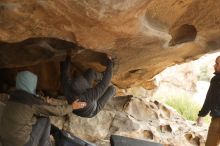 Bouldering in Hueco Tanks on 03/16/2019 with Blue Lizard Climbing and Yoga

Filename: SRM_20190316_1301260.jpg
Aperture: f/2.8
Shutter Speed: 1/500
Body: Canon EOS-1D Mark II
Lens: Canon EF 50mm f/1.8 II