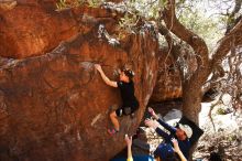 Bouldering in Hueco Tanks on 03/17/2019 with Blue Lizard Climbing and Yoga

Filename: SRM_20190317_1427380.jpg
Aperture: f/5.6
Shutter Speed: 1/320
Body: Canon EOS-1D Mark II
Lens: Canon EF 16-35mm f/2.8 L