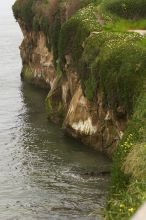 Cliffs at Santa Cruz, California.

Filename: SRM_20060429_165452_9.jpg
Aperture: f/6.3
Shutter Speed: 1/250
Body: Canon EOS 20D
Lens: Canon EF 80-200mm f/2.8 L