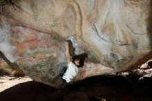 Bouldering in Hueco Tanks on 03/20/2019 with Blue Lizard Climbing and Yoga

Filename: SRM_20190320_1315080.jpg
Aperture: f/6.3
Shutter Speed: 1/250
Body: Canon EOS-1D Mark II
Lens: Canon EF 16-35mm f/2.8 L