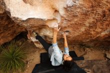 Bouldering in Hueco Tanks on 03/30/2019 with Blue Lizard Climbing and Yoga

Filename: SRM_20190330_1250550.jpg
Aperture: f/5.6
Shutter Speed: 1/320
Body: Canon EOS-1D Mark II
Lens: Canon EF 16-35mm f/2.8 L