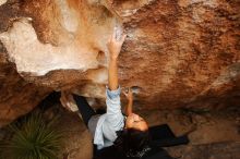 Bouldering in Hueco Tanks on 03/30/2019 with Blue Lizard Climbing and Yoga

Filename: SRM_20190330_1318520.jpg
Aperture: f/5.6
Shutter Speed: 1/400
Body: Canon EOS-1D Mark II
Lens: Canon EF 16-35mm f/2.8 L