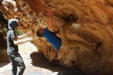 Bouldering in Hueco Tanks on 04/05/2019 with Blue Lizard Climbing and Yoga

Filename: SRM_20190405_1222011.jpg
Aperture: f/4.0
Shutter Speed: 1/640
Body: Canon EOS-1D Mark II
Lens: Canon EF 50mm f/1.8 II