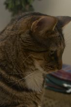 1020409145
Filename: SRM_20051224_234212_7.jpg
Aperture: f/8.0
Shutter Speed: 1/125
Body: Canon EOS 20D
Lens: Canon EF-S 18-55mm f/3.5-5.6