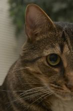 1020409145
Filename: SRM_20051224_234152_3.jpg
Aperture: f/8.0
Shutter Speed: 1/125
Body: Canon EOS 20D
Lens: Canon EF-S 18-55mm f/3.5-5.6