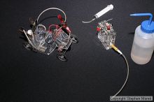 

Filename: img_4053_std.jpg
Aperture: f/9.0
Shutter Speed: 1/60
Body: Canon EOS DIGITAL REBEL
Lens: Canon EF-S 18-55mm f/3.5-5.6