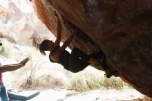 Filename: SRM_20191109_1321110.jpg
Aperture: f/2.8
Shutter Speed: 1/200
Body: Canon EOS-1D Mark II
Lens: Canon EF 50mm f/1.8 II