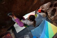 Filename: SRM_20191127_1319510.jpg
Aperture: f/3.5
Shutter Speed: 1/250
Body: Canon EOS-1D Mark II
Lens: Canon EF 16-35mm f/2.8 L