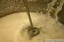 

Filename: img_3318_std.jpg
Aperture: f/5.0
Shutter Speed: 1/50
Body: Canon EOS DIGITAL REBEL
Lens: Canon EF-S 18-55mm f/3.5-5.6