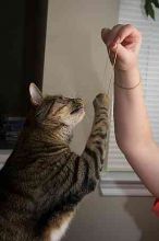 1020409145

Filename: SRM_20050826_192822_1.jpg
Aperture: f/5.6
Shutter Speed: 1/160
Body: Canon EOS 20D
Lens: Canon EF-S 18-55mm f/3.5-5.6