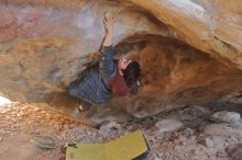 Filename: SRM_20200118_1318370.jpg
Aperture: f/2.8
Shutter Speed: 1/250
Body: Canon EOS-1D Mark II
Lens: Canon EF 50mm f/1.8 II