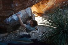 Bouldering in Hueco Tanks on 01/18/2020 with Blue Lizard Climbing and Yoga
Filename: SRM_20200118_1133310.jpg
Aperture: f/6.3
Shutter Speed: 1/250
Body: Canon EOS-1D Mark II
Lens: Canon EF 50mm f/1.8 II