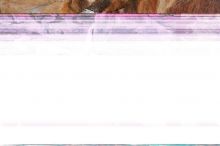 Bouldering in Hueco Tanks on 01/06/2020 with Blue Lizard Climbing and Yoga
Filename: SRM_20200106_1236220.jpg
Aperture: f/3.5
Shutter Speed: 1/250
Body: Canon EOS-1D Mark II
Lens: Canon EF 16-35mm f/2.8 L