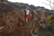 Filename: SRM_20200316_0937000.jpg
Aperture: f/8.0
Shutter Speed: 1/320
Body: Canon EOS-1D Mark II
Lens: Canon EF 50mm f/1.8 II