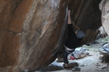 Filename: SRM_20211125_1051410.jpg
Aperture: f/2.8
Shutter Speed: 1/400
Body: Canon EOS R6
Lens: Canon EF 50mm f/1.8 II