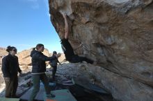 Filename: SRM_20211126_1017493.jpg
Aperture: f/5.6
Shutter Speed: 1/400
Body: Canon EOS R6
Lens: Canon EF 16-35mm f/2.8 L