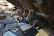 Filename: SRM_20211126_1250100.jpg
Aperture: f/5.6
Shutter Speed: 1/400
Body: Canon EOS R6
Lens: Canon EF 16-35mm f/2.8 L