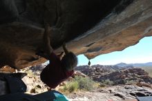 Filename: SRM_20211203_1142410.jpg
Aperture: f/5.6
Shutter Speed: 1/500
Body: Canon EOS R6
Lens: Canon EF 16-35mm f/2.8 L