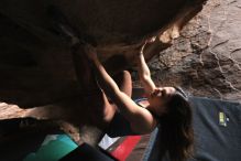 Filename: SRM_20211204_1528560.jpg
Aperture: f/4.0
Shutter Speed: 1/250
Body: Canon EOS R6
Lens: Canon EF 16-35mm f/2.8 L