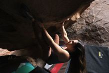 Filename: SRM_20211204_1528562.jpg
Aperture: f/4.0
Shutter Speed: 1/250
Body: Canon EOS R6
Lens: Canon EF 16-35mm f/2.8 L