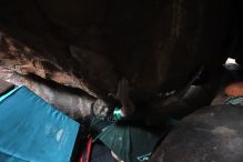 Filename: SRM_20211204_1611390.jpg
Aperture: f/4.0
Shutter Speed: 1/250
Body: Canon EOS R6
Lens: Canon EF 16-35mm f/2.8 L